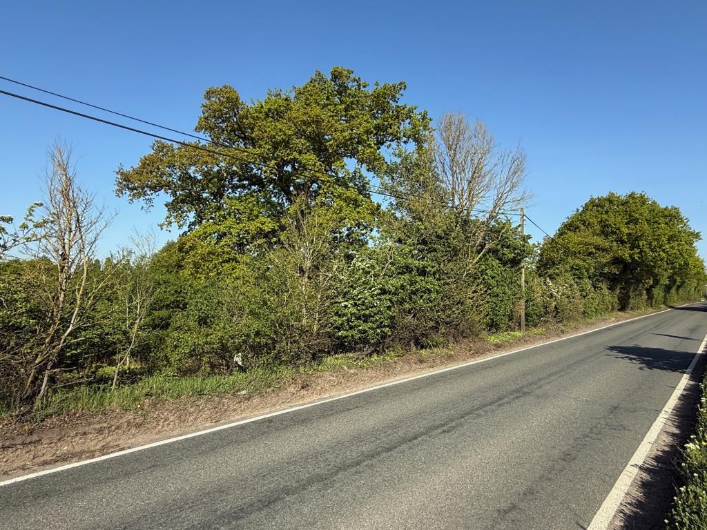 Lot: 89 - PARCEL OF LAND FRONTING WALTHAM ROAD - Road frontage looking along Waltham Road heading north